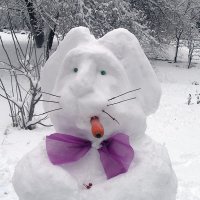 Снежный заяц :: Alexander Varykhanov