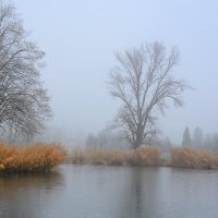 Декабрь уж на дворе ... :: Николай Танаев