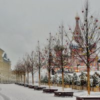 Красная Площадь с видом на собор Василия Блаженного :: Olcen Len