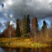 Осенний парк :: Oleg S 