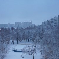 Зима ... :: Лариса Корженевская