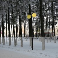 Город, в который пришла зима :: Надежд@ Шавенкова