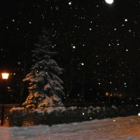 Зимняя ночь ... :: Алёна Савина