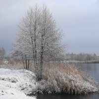 Декабрьский пейзаж :: Маргарита Батырева