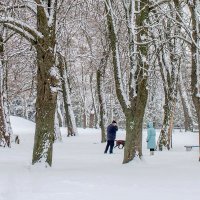 Прогулка в парке :: Сергей Тарабара