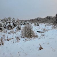 *** :: Алексей Соловьев