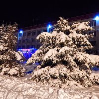 Голубые ели в бело-снежных шубках! :: Елена (Elena Fly) Хайдукова