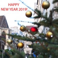 Поздравляю всех с Новым 2019 годом! :: Фотограф в Париже, Франции Наталья Ильина