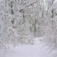 Занесенный снегом.. :: Юрий Стародубцев