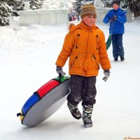 А любите ли вы ватрушки зимние? :-) :: Андрей Заломленков