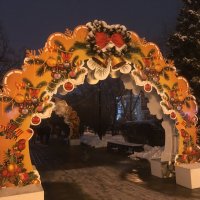Новогодняя арка :: Надежда 