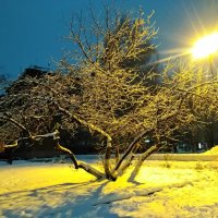 Декабрьский вечер в городе. :: Марина 