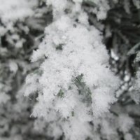 Много снега в начале января))) :: Алексей Кузнецов