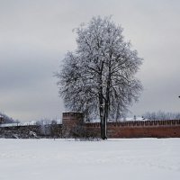 Фрагмент Крепостной стены :: Милешкин Владимир Алексеевич 