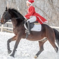 новогоднее :: Елена Логачева