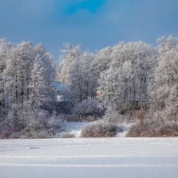 зима во всей красе! :: юрий макаров