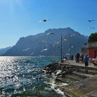 Riva del Garda   Italy :: Игорь 74
