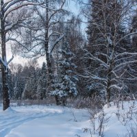 *** :: Владимир Безбородов