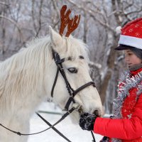 Орфей и Софья :: Елена Логачева