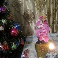 С Рождеством!Счастливого  праздника! :: Елена Семигина