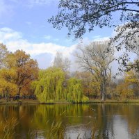 Золотая осень :: Маргарита Батырева