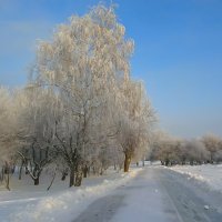 Мороз и солнце, день чудесный. :: Валерий Егоров