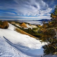 зима в горах :: Elena Wymann