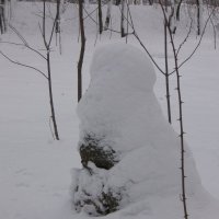 Пенек и снег или Снег и пенек :: Владимир 