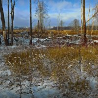 В Загородном! :: Владимир Шошин