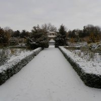 Зима в Ботаническом саду :: Александр Рыжов
