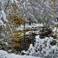 Приглашаю в Сказочный  лес :: олег свирский 