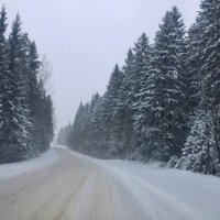 Зимняя дорога домой :: Ирэн 