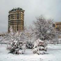 Зима в городе :: Анатолий Чикчирный