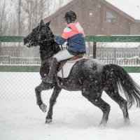 Снегопад :: Елена Логачева