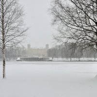 Вид на Гатчинский дворец в метель через Белое озеро :: Елена Смирнова