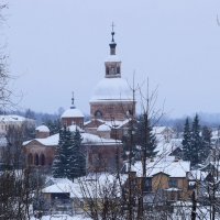 Зимняя панорама Вязьмы. В центре Петропавловская церковь. :: Galina Leskova