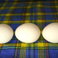 яйца на полотенце :: Танзиля Завьялова