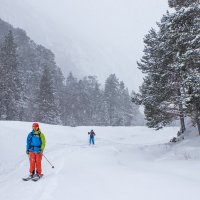снег,лыжник   IMG_1310-75 :: Олег Петрушин