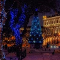 Новогодняя ель на Исаакиевской площади :: Владимир Серебрянко