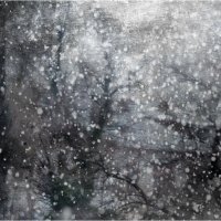 Падал ̶п̶р̶о̶ш̶л̶о̶г̶о̶д̶н̶и̶й̶ снег этого года :: Ольга Мальцева