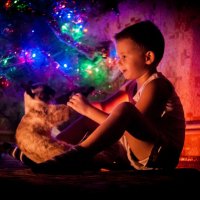 Мальчик и кот 3 :: Александр Поликаркин