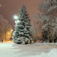 Просто зима в городе :: Надежд@ Шавенкова