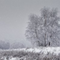 Снегопад :: Владимир Кириченко  wlad113