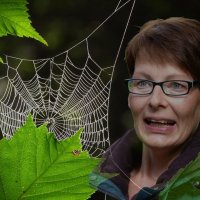 Боишься пауков ? :: Heinz Thorns