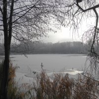 Утром на озере :: Маргарита Батырева