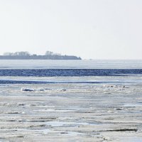 Финский залив :: Николай Танаев