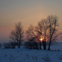 Магия зимнего вечера. :: nadyasilyuk Вознюк