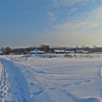 Солнечный снежный Сочельник! :: Виталий Селиванов 