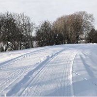 Наконец-то и мы увидели снег.... :: Валерия Комова