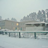 Снежно и морозно :: Лидия (naum.lidiya)